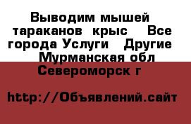 Выводим мышей ,тараканов, крыс. - Все города Услуги » Другие   . Мурманская обл.,Североморск г.